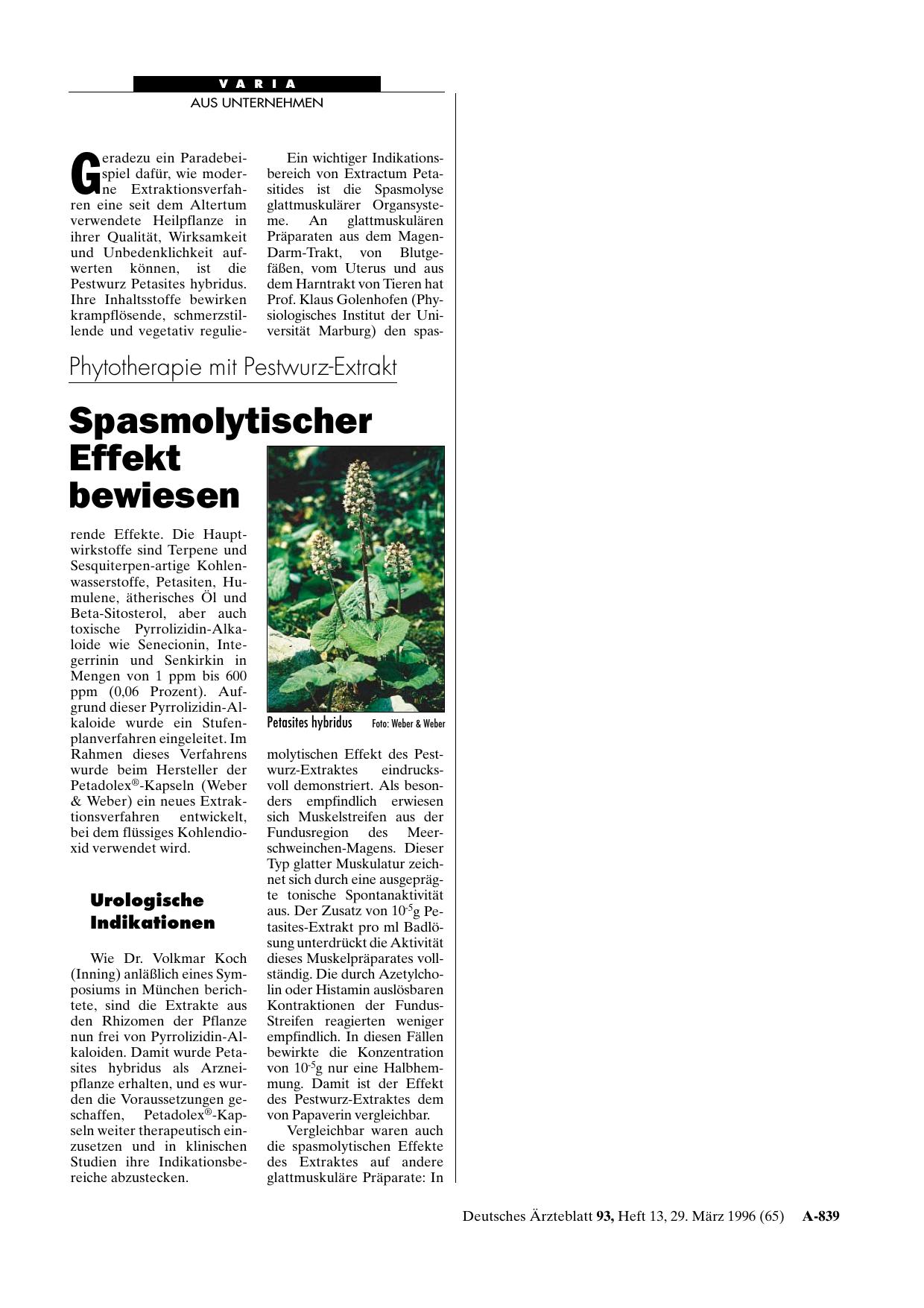 Vorschauseite 1: Kurz informiert