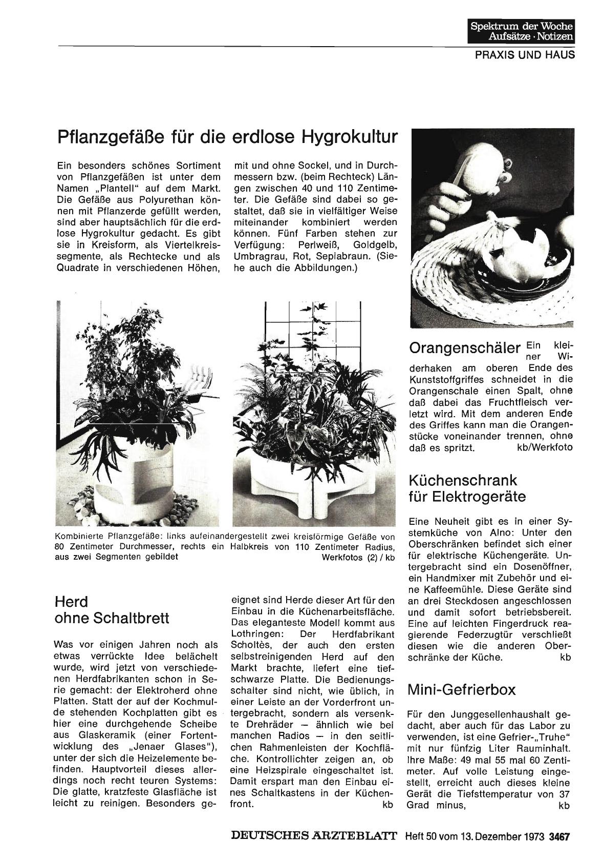 Vorschauseite 1: Orangenschäler