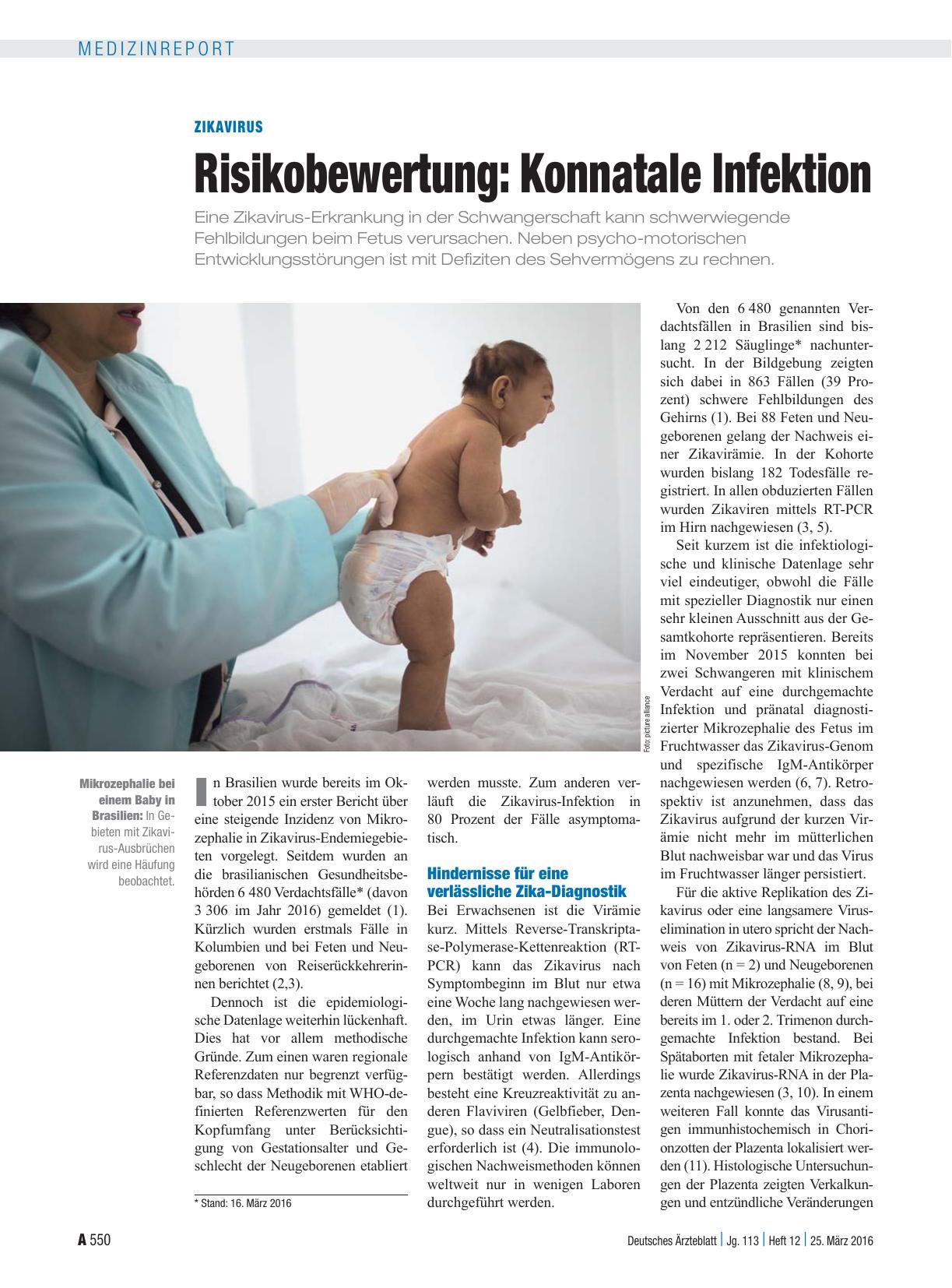 Vorschauseite 1: Zikavirus - Risikobewertung: Konnatale Infektion