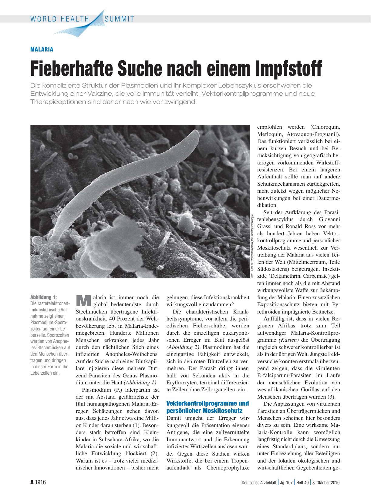 Vorschauseite 1: Malaria: Fieberhafte Suche nach einem Impfstoff