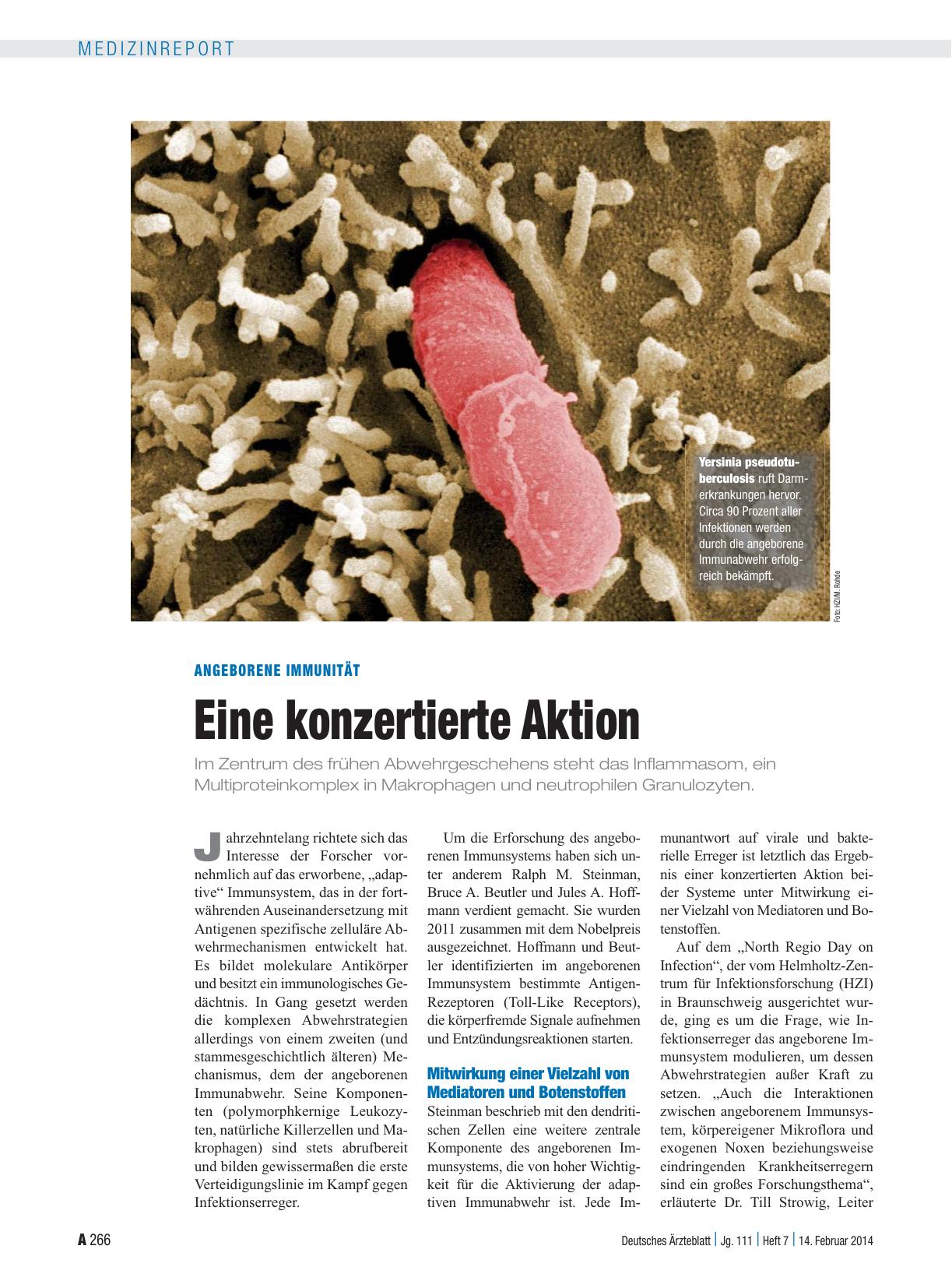 Vorschauseite 1: Angeborene Immunität: Eine konzertierte Aktion