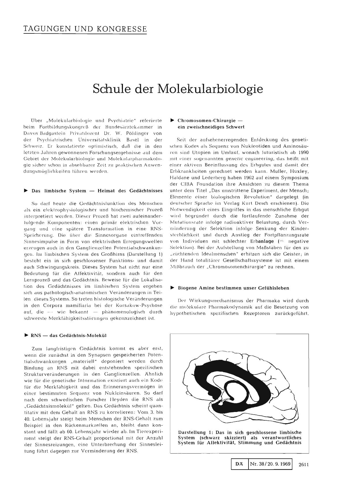 Vorschauseite 1: Schule der Molekularbiologie