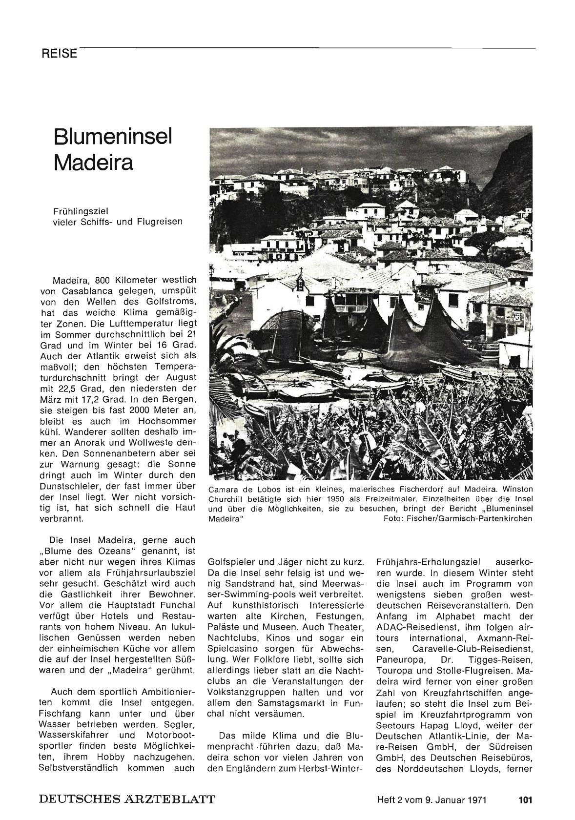 Vorschauseite 1: Blumeninsel Madeira