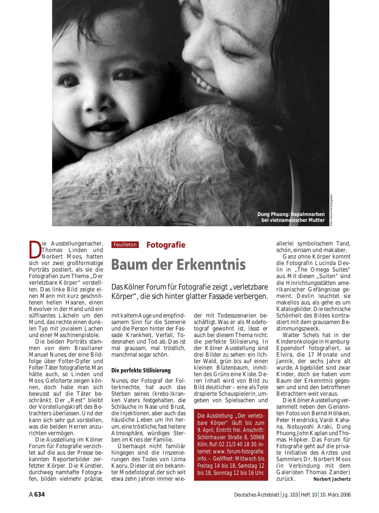 Vorschauseite 1: Fotografie: Baum der Erkenntnis