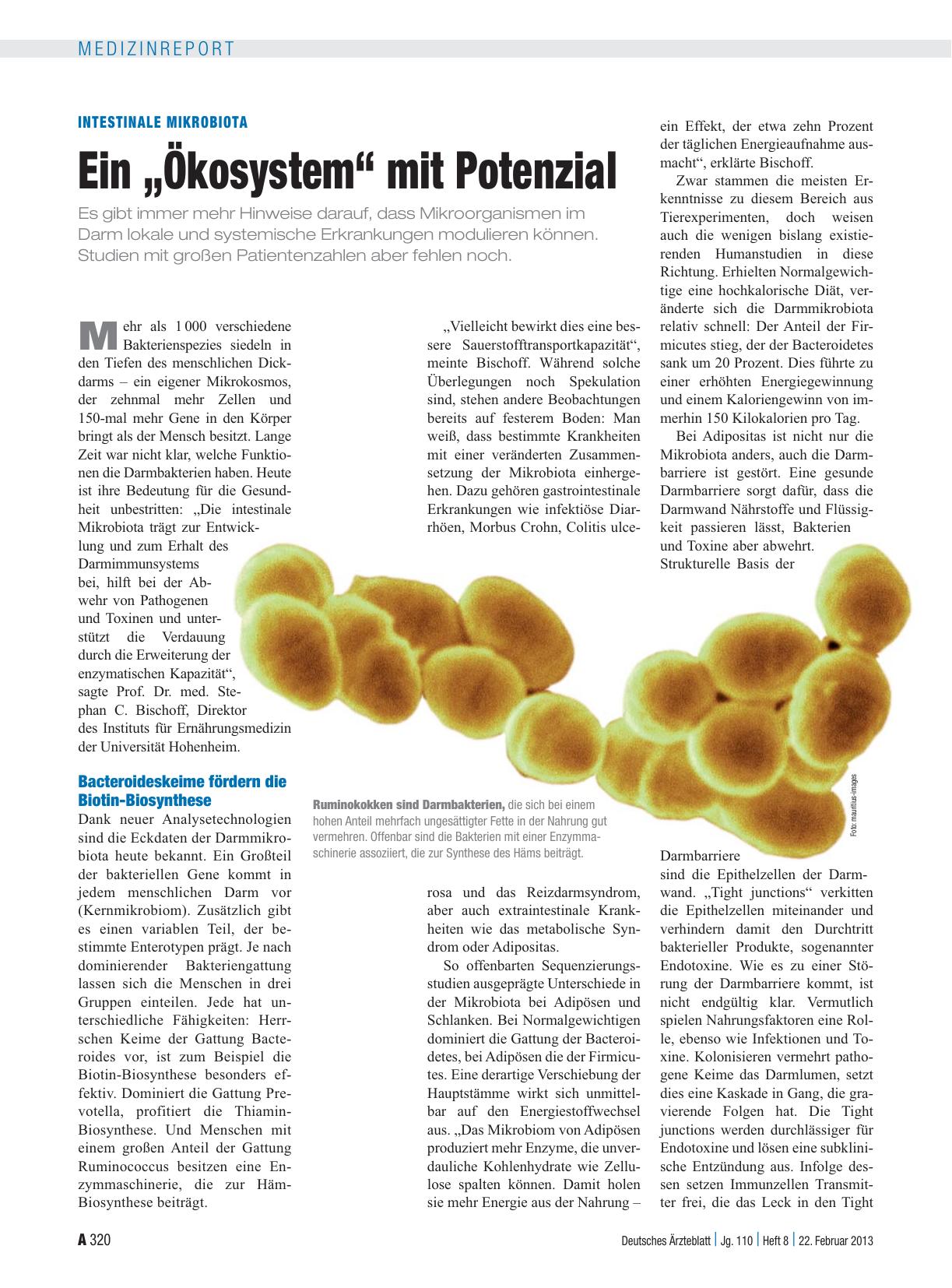 Vorschauseite 1: Intestinale Mikrobiota: Ein „Ökosystem“ mit Potenzial