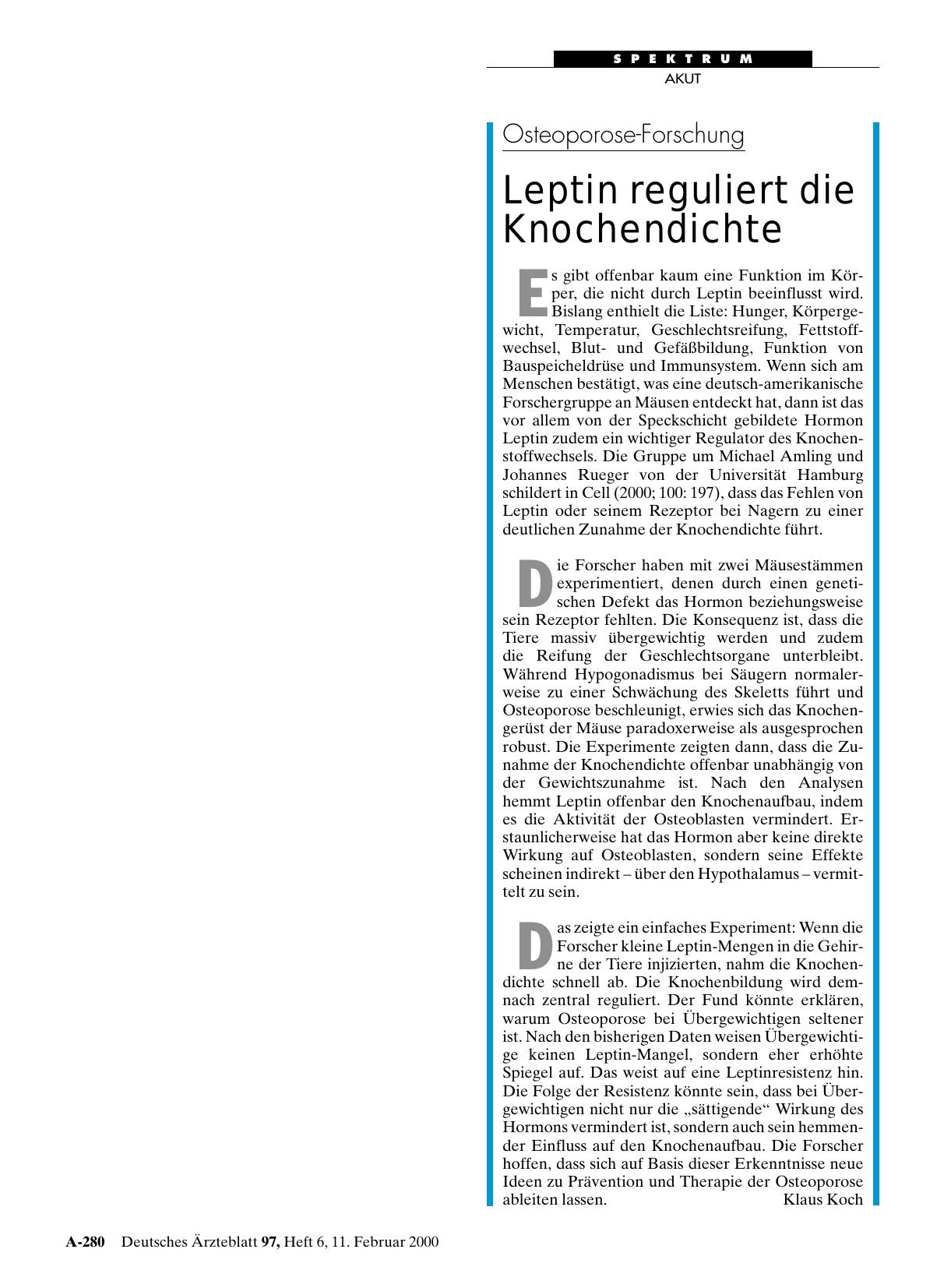 Vorschauseite 1: Osteoporose-Forschung: Leptin reguliert die Knochendichte