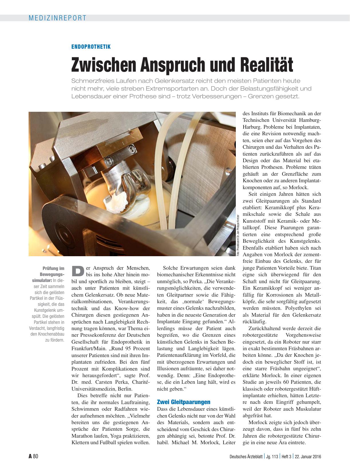 Vorschauseite 1: Endoprothetik: Zwischen Anspruch und Realität