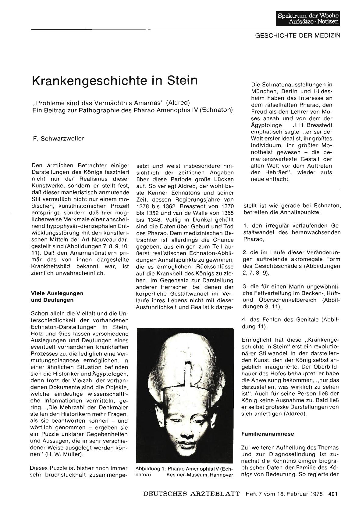 Vorschauseite 1: Krankengeschichte in Stein