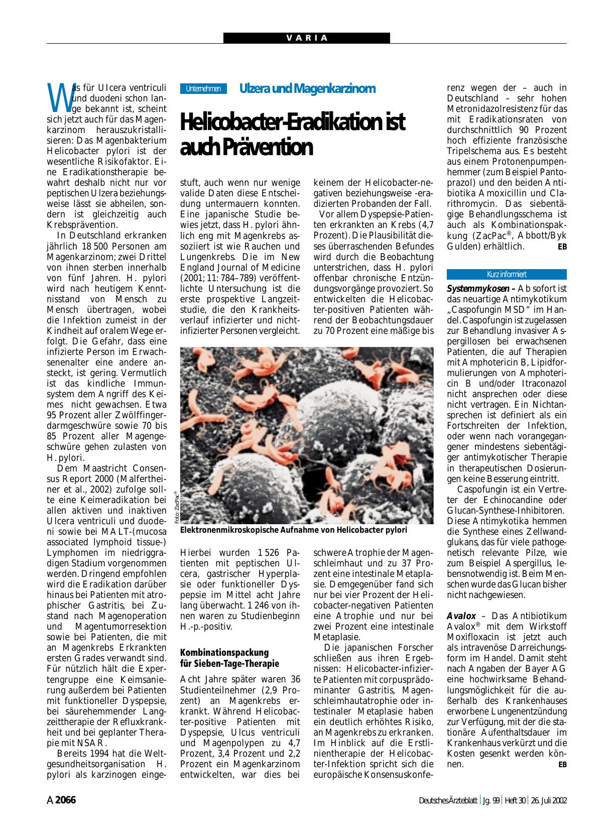 Vorschauseite 1: Systemmykosen