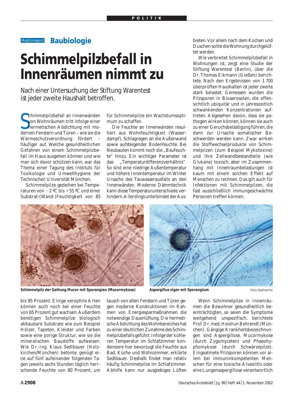 Vorschauseite 1: Baubiologie: Schimmelpilzbefall in Innenräumen nimmt zu