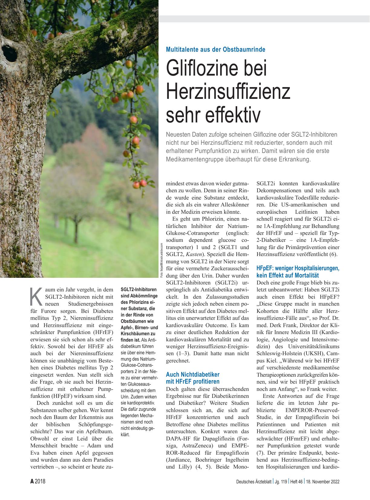 Vorschauseite 1: Multitalente aus der Obstbaumrinde: Gliflozine bei Herzinsuffizienz sehr effektiv