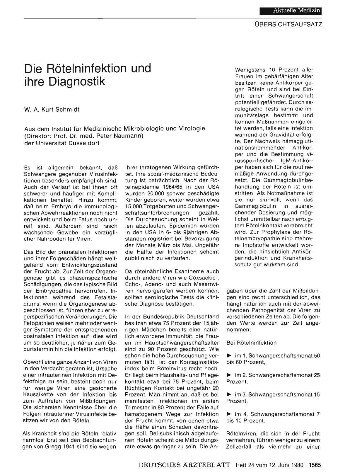 Vorschauseite 1: Die Rötelninfektion und ihre Diagnostik