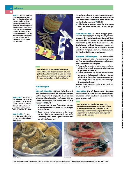 Vorschauseite 3: Psychosozialer Notfall – Substanzinduzierte Störungen durch illegale Drogen – Teil 2