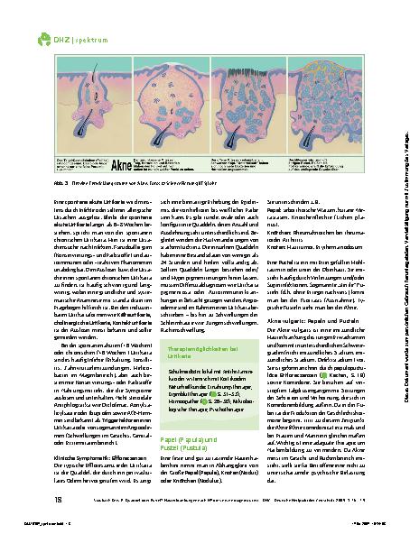 Vorschauseite 3: Quaddel oder Pustel? Hauterkrankungen nach Effloreszenzen diagnostiziert