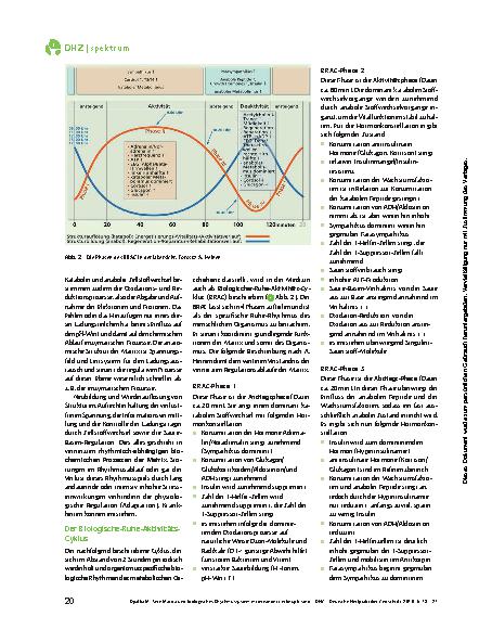 Vorschauseite 3: Wie Matrix und biologisches Rhythmussystem miteinander verknüpft sind