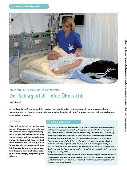 Vorschauseite 1: Der Schlaganfall – eine Übersicht
