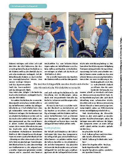 Vorschauseite 3: Der Schlaganfall – eine Übersicht