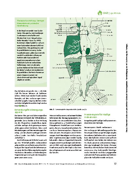Vorschauseite 2: Siener-Therapie: Mit Lichtreizen zum Heilungsreflex am Schmerzort