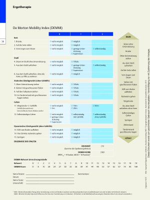 Vorschauseite 2: Assessment: De Morton Mobility Index (DEMMI) – Mobilitätstest in der Geriatrie