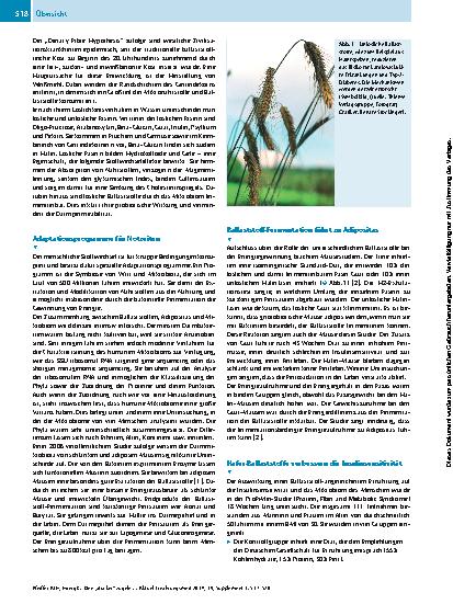 Vorschauseite 2: Den „Zucker“ zügeln
