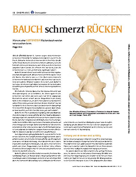 Vorschauseite 1: BAUCH schmerzt RÜCKEN