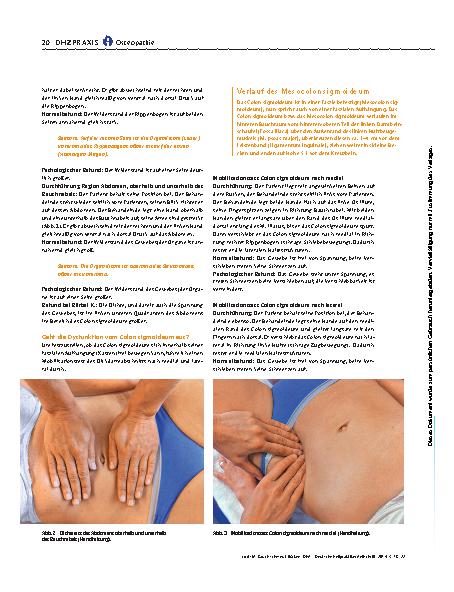 Vorschauseite 3: BAUCH schmerzt RÜCKEN