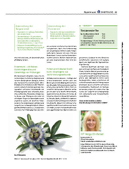 Vorschauseite 4: Stark verwurzelt: Stresspflanzen