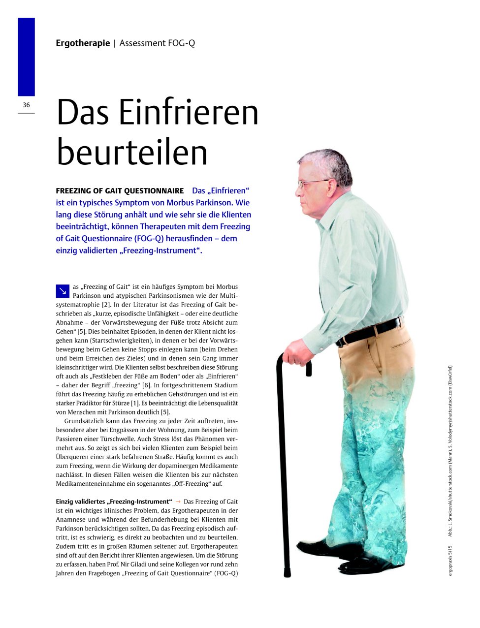 Vorschauseite 1: Das Einfrieren beurteilen – Freezing of Gait Questionnaire
