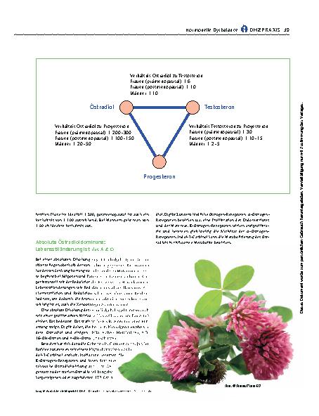 Vorschauseite 4: Zurück ins Gleichgewicht
