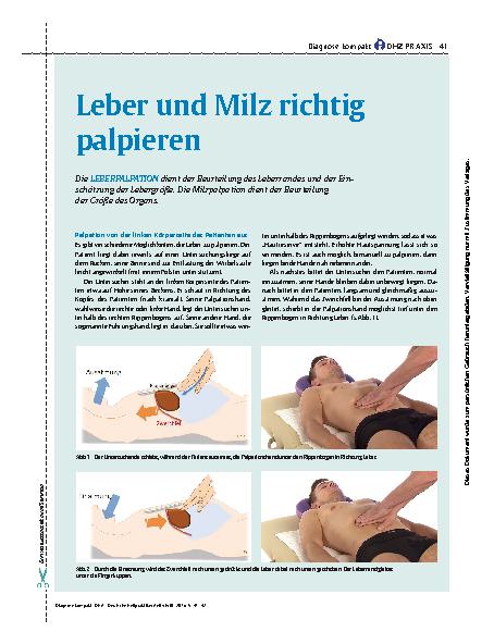 Vorschauseite 1: Leber und Milz richtig palpieren