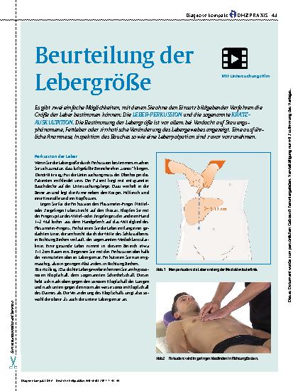Vorschauseite 1: Beurteilung der Lebergröße