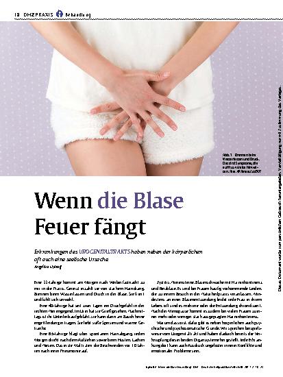 Vorschauseite 1: Wenn die Blase Feuer fängt