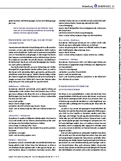 Vorschauseite 4: Wenn die Blase Feuer fängt