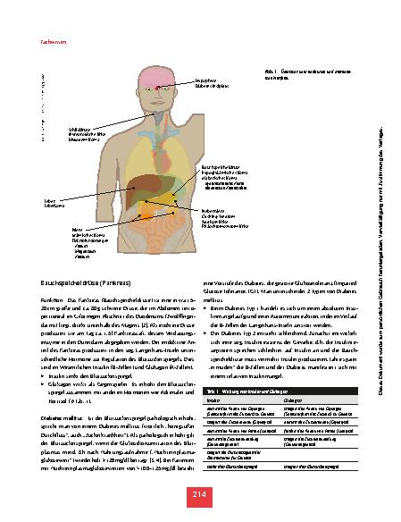 Vorschauseite 3: Alles Zucker, oder was? - Endokrine und metabolische Notfälle
