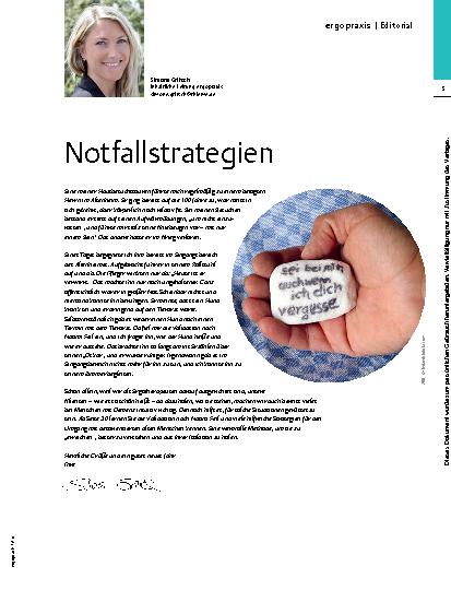 Vorschauseite 1: Notfallstrategien