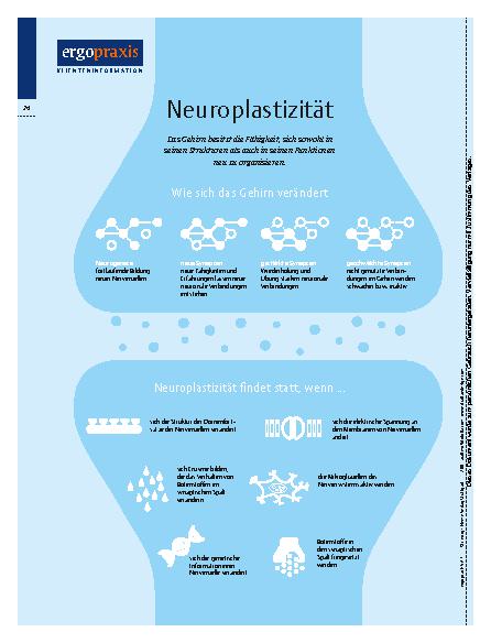 Vorschauseite 2: Neuroplastizität – Das Gehirn lernt immer