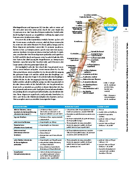 Vorschauseite 2: Nervenkompressionssyndrome – Wenn Nerven nerven