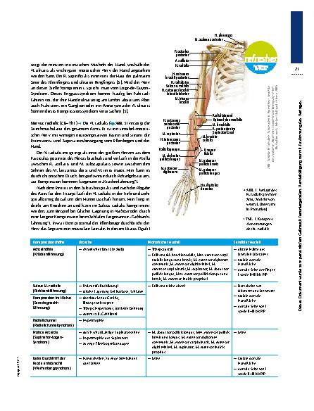Vorschauseite 4: Nervenkompressionssyndrome – Wenn Nerven nerven