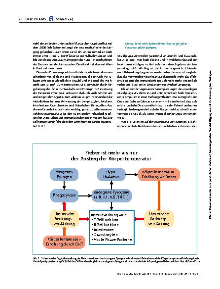 Vorschauseite 3: Integrative Krebstherapie