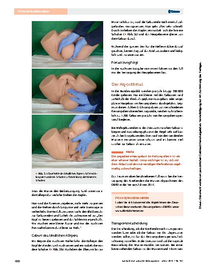 Vorschauseite 5: Geburt im Rettungsdienst – Das sollten Sie wissen für die Ergänzungsprüfung