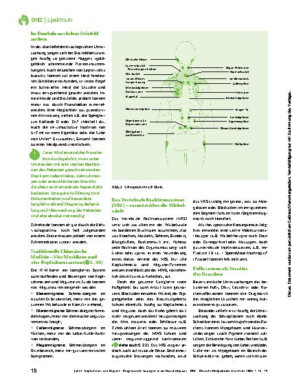 Vorschauseite 3: Kopfschmerz und Migräne - Diagnostische Strategien in der Naturheilpraxis