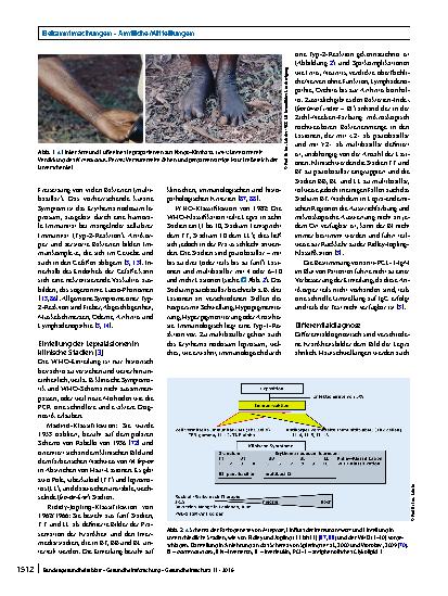 Vorschauseite 5: Mycobacterium leprae – der Erreger von Lepra