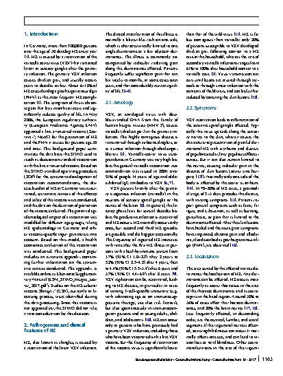 Vorschauseite 2: Background paper to the decision not to recommend a standard vaccination with the live attenuated herpes zoster vaccine for the elderly in Germany
