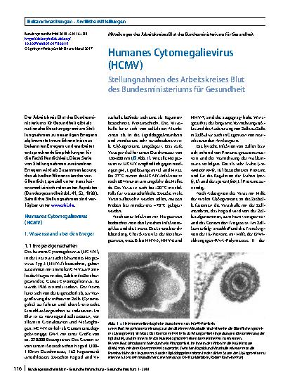 Vorschauseite 1: Humanes Cytomegalievirus (HCMV)
