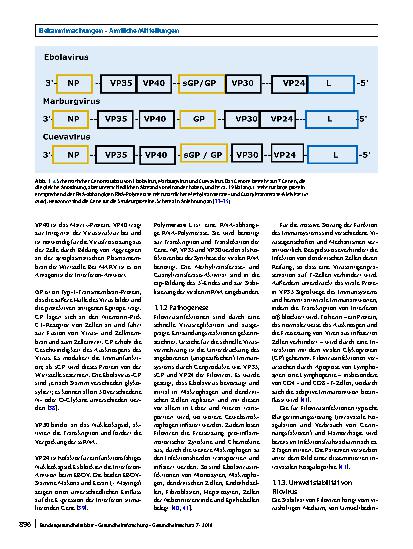 Vorschauseite 3: Filovirus – Auslöser von hämorrhagischem Fieber