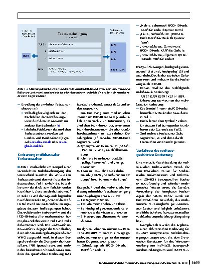 Vorschauseite 2: Elektronische Kodierung von Todesbescheinigungen