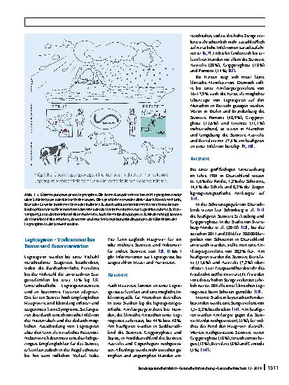 Vorschauseite 2: Leptospirose in Deutschland: Aktuelle Erkenntnisse zu Erregerspezies, Reservoirwirten und Erkrankungen bei Mensch und Tier