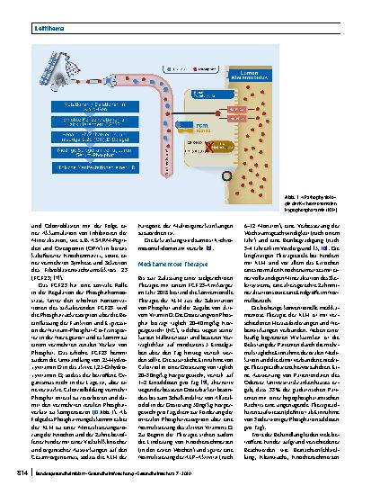 Vorschauseite 2: Biopsychosoziales Betreuungskonzept für Kinder mit X‑chromosomaler Hypophosphatämie (XLH)