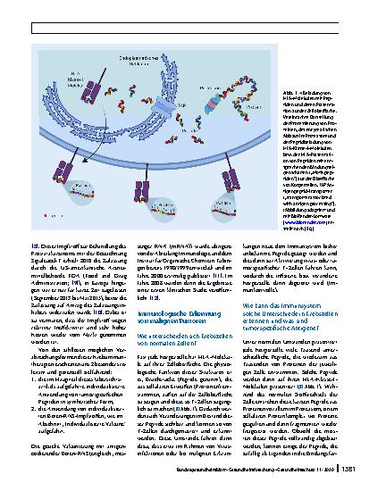 Vorschauseite 2: Individualisierte Immuntherapie von Tumorerkrankungen mittels Peptidimpfstoffen – Funktioniert das vielleicht doch?