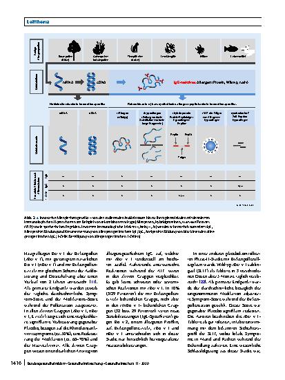 Vorschauseite 5: Rekombinante Allergene, Peptide und Virus-like Particles in der Immuntherapie von Allergien